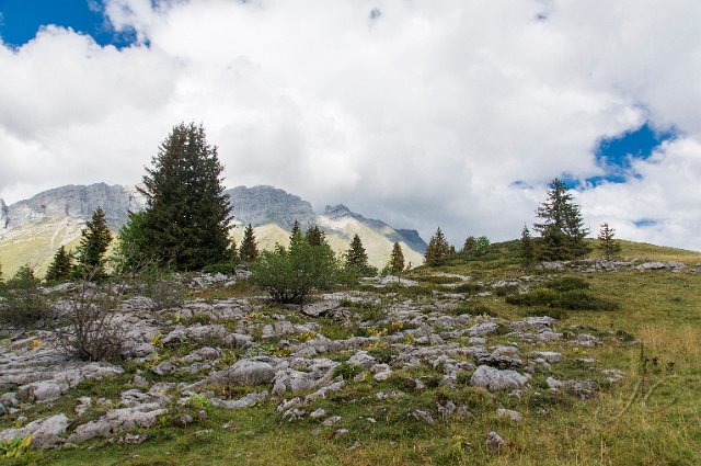 0135 Aravis Plachaux.jpg - SONY DSC